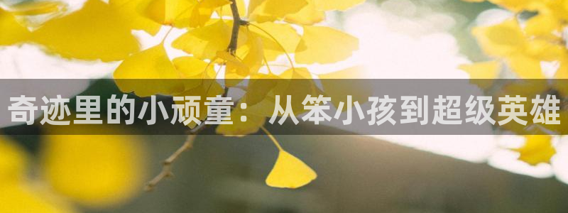 红桃影院免费在线观看