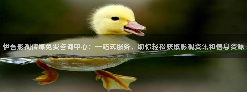 红桃影院在线观看nba